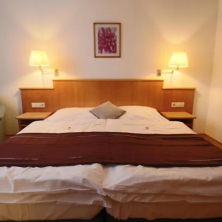 Hotel Restaurant Hambacher Winzer 3*