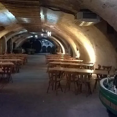 Restaurant Hambacher Winzer Hotel