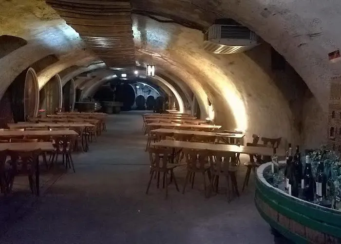 Restaurant Hambacher Winzer Hotel