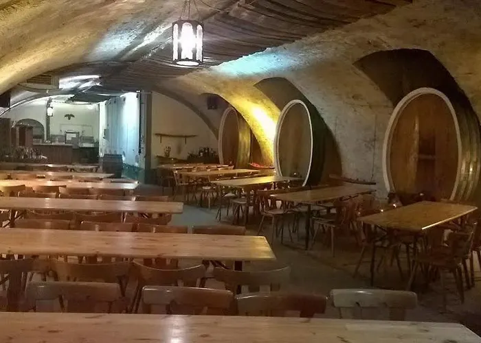 Hotel Restaurant Hambacher Winzer 3*